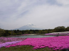 MTBでウロウロ…=富士芝桜を見てきました=