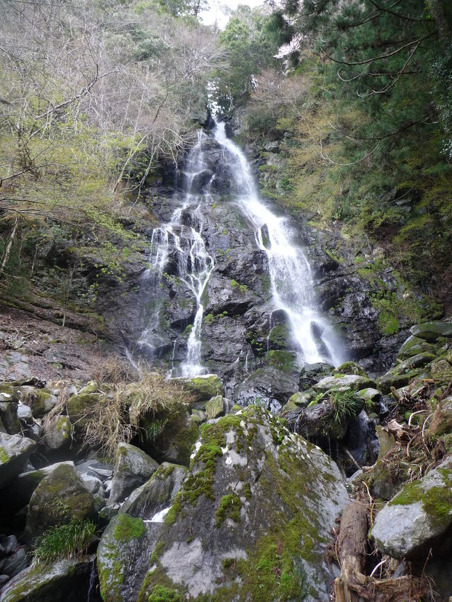 高見の郷で桜の天空庭園を楽しんだ後、東吉野村にある４つの滝（谷山滝・和佐羅滝・七滝八壺・魚止滝）を訪れました。