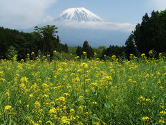 MTBでウロウロ…=富士芝桜を見てきました・復路=