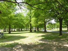 東京ぶらぶら・・・足立区・舎人公園散策