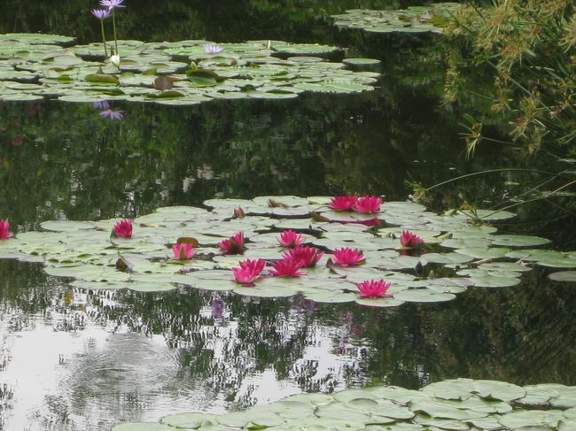 フランスの画家モネの作品をイメージした植物園「モネの庭」、<br />「牧野植物園」野良時計前の「ひまわり畑」と花三昧の旅をしてきました。<br /><br />天気がよくて楽しい旅となりました。<br />