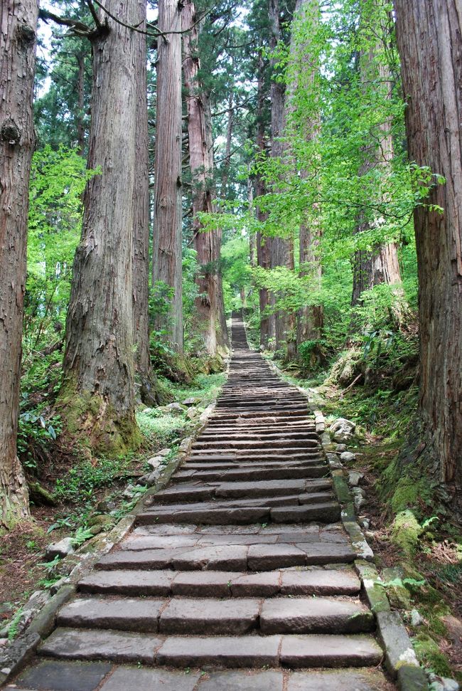 初夏の山形へ2泊3日旅行。<br /><br />旅の目的は、森林浴と参拝。<br />久しぶりにいい運動になりました。<br /><br />初日のこの日は、羽黒山を登り出羽三山神社を参拝した後、<br />鶴岡の蔵元冨士酒造の見学に行ってきました。<br />