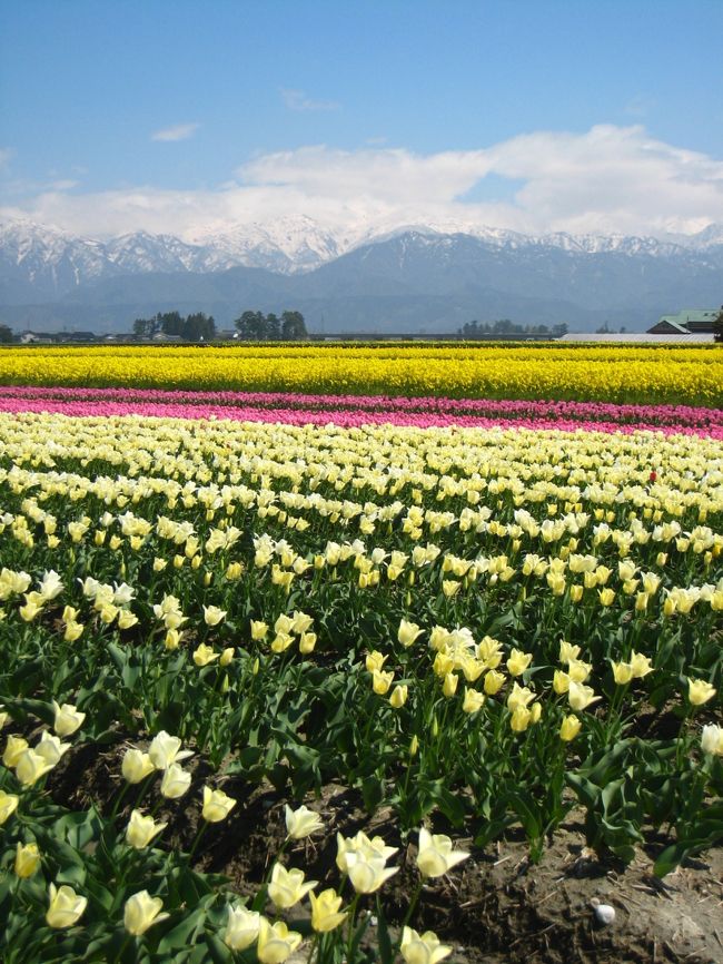 富山県のあれこれをまとめてみました。<br /><br />結構地味？なイメージの富山ですがいろいろ見所もあります。<br />やっぱり自然が一番！<br />