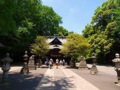 ２０１０ 春　埼玉散歩 ２　加須市騎西町　玉敷神社　大藤