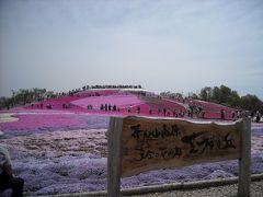 愛知県の一番高所の花畑♪茶臼山高原芝桜♪
