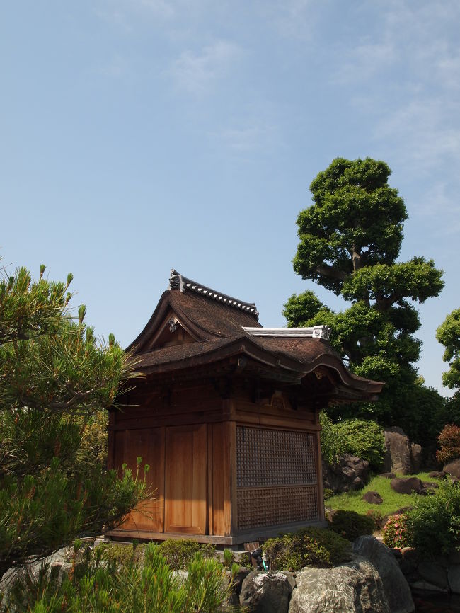 大阪茨木にある、西国三十三所の第２２番札所、補陀洛山総持寺には、秘仏‘亀の背に乗る千手観音立像’が。<br /><br />今月末までは、全札所が一同に揃ってのイベント、西国三十三所結縁御開帳があり、順次秘仏が公開されています。<br /><br />西国巡礼中興の祖、花山法皇の一千年御忌を迎えるにあたり、行われているこの御開帳、本年五月には、ここ総持寺の秘仏を見ることができます。<br /><br />『今昔物語集』よると、開基藤原山蔭の父・藤原高房は、漁師たちが大亀を捕らえているのを見て、「今日１８日は観音様の縁日だから」と言って、亀を逃がしてやった。<br />その夜、継母の計略で船から高房の子・山蔭は川に落とされてしまったのですが、高房が観音さまに祈ったところ、山蔭は助けた亀に救出してもらい、甲羅に乗せられて現れたという。<br />その後、山蔭が報恩のため観音像を造立し祀ったのが当寺の起源といわれており、ここ総持寺の本尊は‘亀の背に乗る千手観音立像’となっています。<br /><br />元亀２年（１５７１）織田信長軍のため、諸堂僧坊はことごとく焼失し、本尊‘亀の背に乗る千手観音立像’の下半身も焼けた跡が残っています。<br />そのため、一名「火防（ひふせ）観音」とも呼ばれているそうです。<br />その後、慶長８年（１６０３）豊臣秀頼の命により片桐旦元が奉行となって再建されました。<br /><br />境内もきっちり清掃され、２〜３年前に行ったときに比べ、新しい建物も増えていて、ますますすっきりした感じの良い寺院になってきています。<br /><br />【写真は、総持寺の閻魔堂です。】