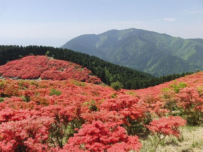 葛城山 つつじ園 御所 葛城 奈良県 の旅行記 ブログ By Kc67さん フォートラベル 葛城山 つつじ園 御所 葛城 奈良県 の旅行記 ブログ By Kc67さん フォートラベル