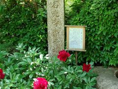 芍薬が見頃 関西花の寺 石光寺 奈良県の旅行記 ブログ By Canadianさん フォートラベル