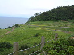 白川郷から能登経由金沢の旅　２　　九十九湾から千枚田を眺めて輪島へ