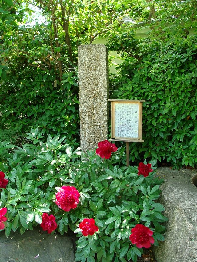 芍薬が見頃 関西花の寺 石光寺 奈良県の旅行記 ブログ By Canadianさん フォートラベル