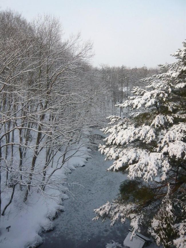 雪見温泉に行きたい！ということで青森まで行ってきました。<br />古牧温泉「青森屋」はお値段もリーズナブルで、<br />とーっても大きな露天風呂がある温泉です。<br />最近リニューアルをしていて、お風呂はとてもきれい☆<br />温泉を満喫してきました。<br />翌日は、朝風呂に入ったあと、十和田まで電車で移動し、<br />「十和田現代美術館」に行ってきました。<br />雪の中のアートは新鮮で、楽しい旅行となりました。<br />（表紙の写真は客室からの眺めです）