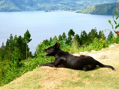 トバ湖からブキッティンギへ～スマトラ島で踊るワタシ...～　