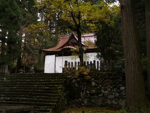 越前白山神社図】敦史 994 福井県 平泉寺白山神社 共箱二重箱