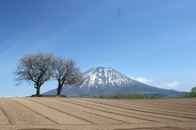 ようやく春らしくなってきた北海道。<br />京極～ニセコとドライブに出掛けてきました。