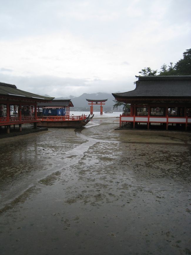 　◆④もみじまんじゅうだらけの宮島◆<br /><br />錦帯橋から宮島の移動中に、宮島近辺の出身の友達に<br />『昼飯のお勧めは？』と聞いたところ、<br />『駅前のあなご飯のうえの!!』っと即答で来た。<br />よし、今日の昼ご飯はあなご飯!!ってテンションで車を停めて店に行ってみると・・・<br />すごい行列、さすがに日曜日のお昼時の有名店。<br />あんまりお腹も減ってなかったし、先に厳島神社に行ってから食べようと決定。<br />さすがにその頃には空いてるやろうと思ったが・・・。<br /><br />恥ずかしながらこの時に初めて知ったことがある。<br />宮島が“島”ってこと。<br />ええ、船に乗って行くの!?とおもわず思ってしまった。<br />イメージとしては、陸から海の中に鳥居があって、その向こうには瀬戸内海が広がってる。<br />なんかだまされたって感じやった(いやいや誰も騙してないって)。<br /><br />なにわともあれ船に乗って宮島へ出発。<br />