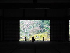 ３２．春休みの京都の世界遺産を巡る旅　１１／１７ 世界遺産 天龍寺