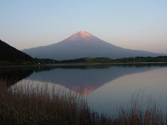 富士宮市田貫湖キャンプ