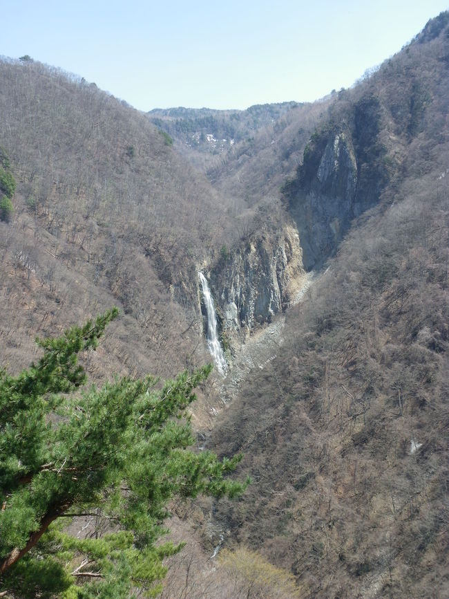 新潟県から再度長野県に戻り、次に向かったのは志賀高原です。<br />目的は、長野県内では２番目の落差を誇る『澗満滝（かんまんだき）＝落差107ｍ』です。<br />ちなみに、長野県で最も落差が大きい滝はこの後の旅行記に出て来る「八滝（落差180ｍ）」ですが、八滝は段瀑なので直瀑としては澗満滝が長野県内でトップです。<br />全国的に見ても、落差107ｍは第23位にあたります。