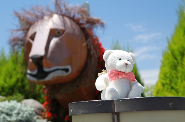 天王寺公園に１００メートル続くバラのアーチがあるという情報を得たので、時期的にはちょっと遅いかなと思いつつ行ってみました。<br /><br />おまけ↓↓↓<br />http://yaplog.jp/awamoko/archive/206