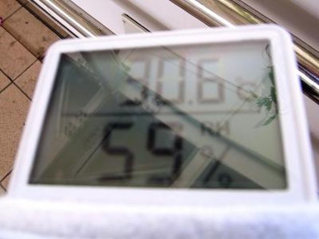 この空港は通路が供用で搭乗の方も到着の方も殆ど同じ通路を使用しますので　混雑する時は大変です。<br />那覇空港は基本的にガラス張りで　とにかく一年中暑いという感覚ですが、空港を出てもこの日はこの気温でした。<br />ちなみに東京の朝は12℃でした<br />