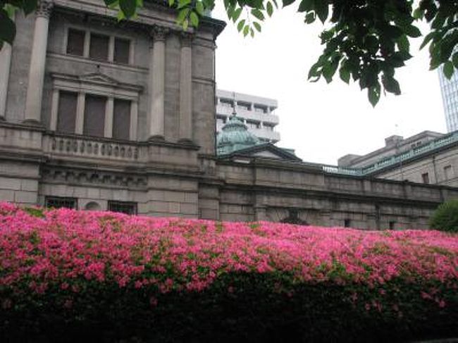 5月27日、需要家との打ち合わせのために皇居東御苑散策後、日本橋三越前迄のウォーキングをした。　生憎、一寸したにわか雨があり雨宿りしながらのウォーキングになった。<br />距離的には約1.5キロである。<br /><br /><br /><br /><br /><br /><br />＊写真は日本銀行前の美しいサツキ
