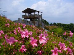 東三河ふるさと公園を散策