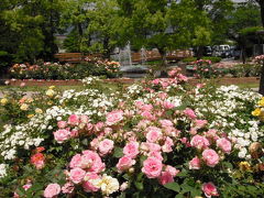 神戸町・「ばら公園いこいの広場」・咲き誇る３３００株のバラ
