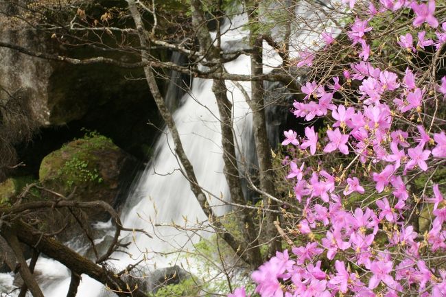 雲の上、新緑の奥日光