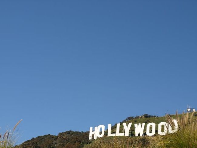 グリフィス天文台のあるMt.Hollywoodのお隣にあるMt.Leeに登ると、あのハリウッドサインの間近に行くことができます。まあ、間近とは言っても触れるわけではないんですけど、ここも人気のトレイルです。