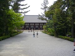 唐招提寺には鑑真大和上がこよなく愛でた「瓊花」が咲いていた。