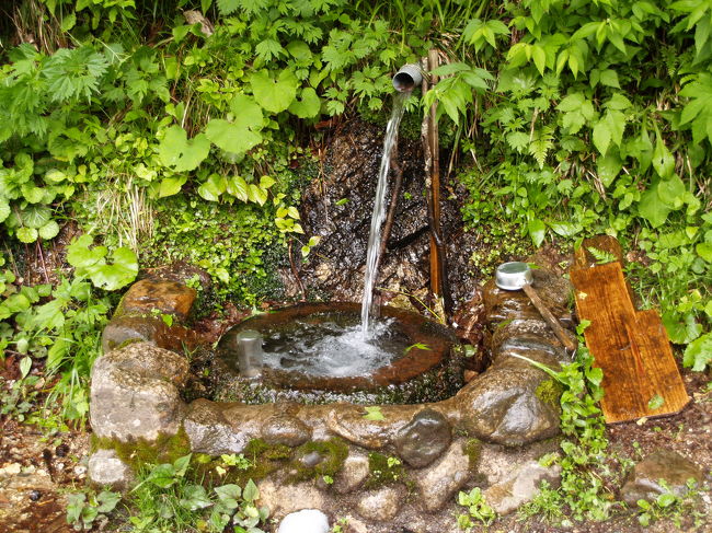 喉が渇いた時に冷たくて美味しい水がいただけたら、この上ない喜びだ。旅先で見つけた古来からの名水や実際に飲んでみて美味しかった水を紹介する。今までに一番美味しかったのは、山形県大鳥池間近で山道脇に流れる沢の水を飲んだときであった。気に入っている清水は新潟県日本国山麓にあるラジウム清水である。10ℓほどポリ容器で持ち帰り、テニスクラブの面々で飲んだが皆口々に美味しいと言っていた。こうした水がペットボトルで売り出されたらきっと買って飲むだろう。<br /> 岩手県岩泉にある龍泉洞で飲んだ水は石灰岩が溶け出してカルシウム分が多い。昔飲んだ、新潟県田上町(現五泉市)の大沢鍾乳洞の向かいの沢水の味に似ていると思った。昨年、たまたま鎌倉海蔵寺で会った2人づれのおばさんたちがこの田上から鎌倉見物に来たのだそうだが、聞くとこの沢の水は今ではなくなってしまっているそうだ。地元の人でもなかなか行かないようなところを知っていたので、少し怪訝な顔をしていた。<br /> 井戸水・湧水には硬水と軟水があり、日本国内では軟水が多い。この呼び名は、料理や酒造りから来ているようだ。元々、カルシウム(Ca) 、マグネシウム(Mg)は、食品などを硬くする性質があり、カルシウム、マグネシウムが多く含まれ食べ物を硬くする性質がある水を硬水と呼び、成分が少なく食べ物を軟くする性質の水を軟水と呼んでいる。<br /> 名水が必ずしも美味しいとは限らず、水温や気温、あるいは運動後で体温が高いとか喉が渇いているとかの条件で水の味も変わる。しかし、コーヒーや炊飯には水道水よりも格段に味が良くなる。世界各国でも生水がそのまま飲める国はさほど多くはないと言われている。幸いなことに日本では全国のどこでも生水として飲まれて来た井戸水・湧水は、誰が飲んでもあたることはない。旅にでたら、旅先での名水をごくんと飲み干したいものだ。<br />(表紙写真は日本国登山口手前のラジウム清水)