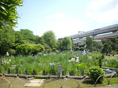 チャリで堀切菖蒲園に行ってみました