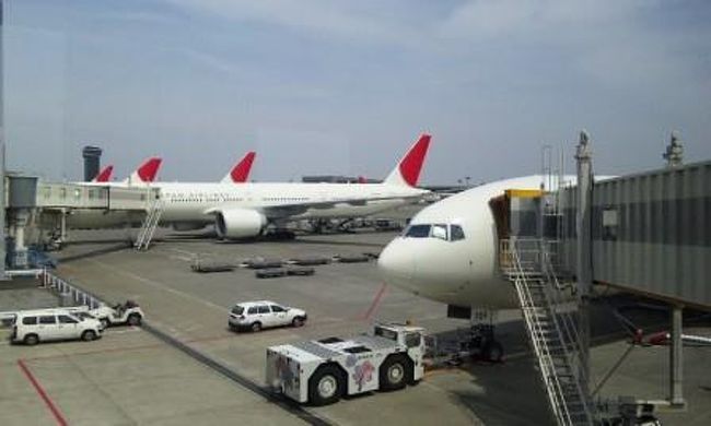 「今年の夏にJALマイルの有効期限が切れてしまう~」とのことで急きょ決まったシンガポール旅行。<br />バリ島に続き、またまた夏を先取りの暑い国への旅。<br />カジノやユニバーサルスタジオもオープンしたばかりとのことで、予定てんこ盛りになってしまいそうな予感...。