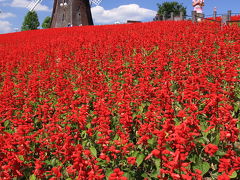 花博記念公園鶴見緑地 2010春