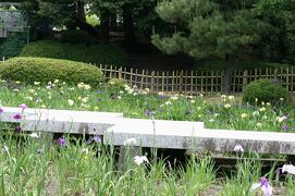 2010晩春、鶴舞公園(7/9)：花菖蒲(3)：金冠、愛知の誉、八橋、東屋