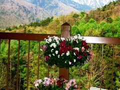 安曇野の高原を早朝散歩して　☆蝶が岳・常念岳は残雪に輝く