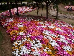 ★淡路島・春のお花畑散歩★