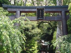 ホテルミクラス（HOTEL MICURAS)で癒しとパワーチャージの旅～May 2010～