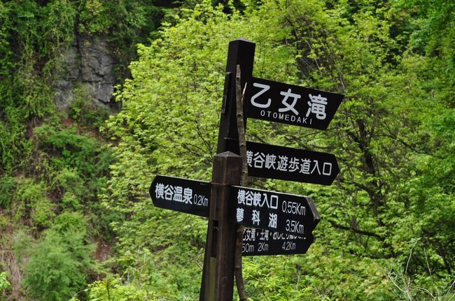 「幼稚園に入ったらなかなか一緒に旅行いけないわよ〜」とジジ、ババを脅してまんまと温泉旅行ゲット！疲れをとりにいくはずが、元気の良すぎる王子のおかげでまたしても大人全滅状態。でも、この季節の横谷峡は新緑とマイナスイオンたっぷりでトレッキングに最適！とっても気持ち良かった〜！