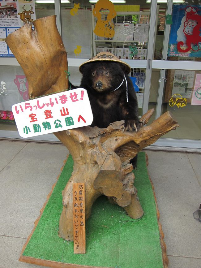 埼玉県長瀞の「宝登山」にいつもの仲間と日帰りハイキング<br />に行ってきました<br /><br />宝登山の山麓には、「秩父神社」や「三峰神社」とともに、<br />秩父三社の1つに数えられる「宝登山神社」が祀られています<br /><br />普段は頂上まで一気にロープウェイで登るところですが、<br />今回はのんびりほのぼのと散策／ハイキングで楽しみます<br /><br />下山後の美味しい「かき氷」や極楽温泉にもつかり、まさに<br />「宝物の時間」を過ごすことができました〜♪