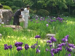 桑名の諸戸氏庭園で菖蒲鑑賞