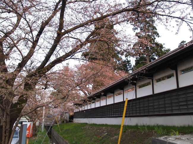 　盛岡市内には10万石の城下町として造られた寺町がある。他にも、中津川を越えた盛岡八幡宮へ向かう手前にもお寺が建ち並んでいる。10万石の格式があった長崎の町の寺町にも似た、それなりの境内を持つお寺が連なる。盛岡藩は後に20万石に石高が見直されるが、所領が増えることもなく、初期の城下町を変更することもできない。やはり10万石相応の寺町である。<br />　盛岡市内の寺町通りには土塀が連なり、寺町の趣がある。奥に、羅漢堂に五百羅漢像を納める報恩寺が立派な山門を構えている。盛岡の街は何時の季節にも散歩したい街である。<br />（表紙写真は寺町通りの土塀）