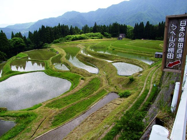 棚田百選の１つでもある『うへ山の棚田』<br />晴れていたらもっと気持ちも良い写真が撮れたでしょうねぇ。<br /><br />ここの棚田もオーナー制です。