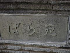 【神奈川県】生田緑地ばら苑