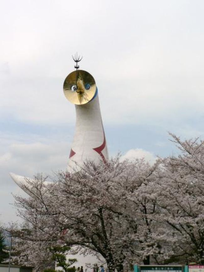 万博記念公園は１９７０年に開催された日本万国博覧会（大阪万博）の跡地を整備した公園で自然文化園、日本庭園、国立民族学博物館など府民の憩いの場、スポーツの場になっている。<br />日本さくら名所１００選にも選ばれており、４月５日は満開でたくさんの人たちが花見を楽しんでいた。<br />（写真は太陽の塔と桜の光景）<br />