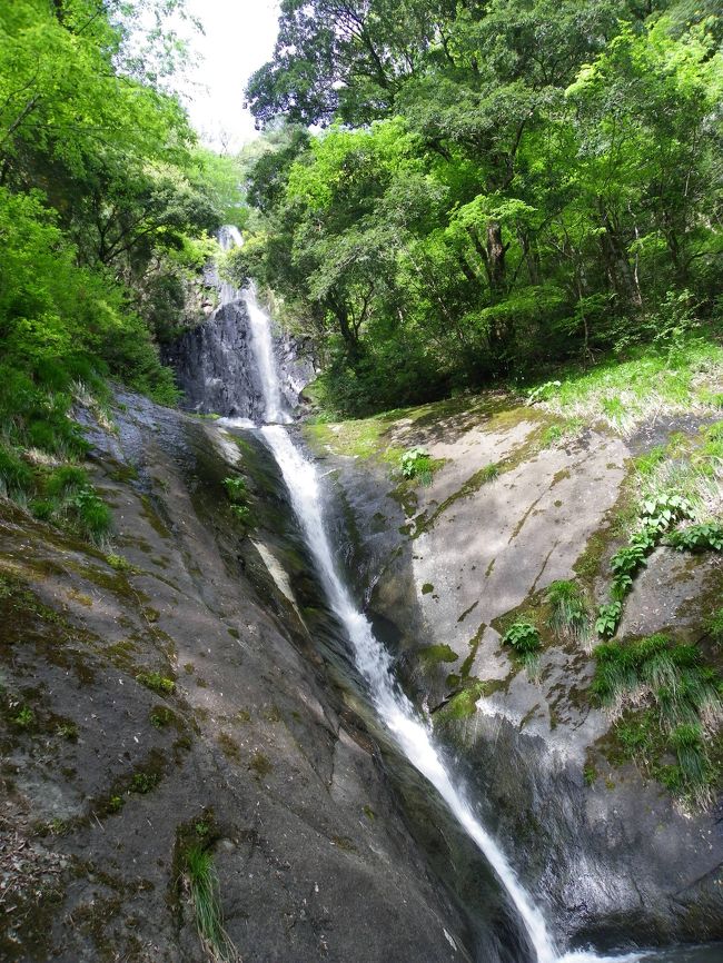 ２日間の「兵庫県北部の滝めぐり」もフィナーレです。<br />シワガラの滝＆桂の滝を制覇した後、私たちの車を置いてある「道の駅村岡ファームガーデン」まで送ってもらい、帰路につきます。<br />GOTOCHANさんと分かれた後、道の駅からほど近い『日本の滝百選／猿尾滝』に再訪してみました。<br />前回猿尾滝にを訪れたのは11月でした。今回は新緑の季節なので風景はやはり随分異なりますねぇ～。<br />前回（2007年11月）の旅行記はこちら→http://4travel.jp/traveler/joecool/album/10199926/<br /><br />２日間ずっと天気も良く、今回の主目的だった３つの滝（霧ヶ滝・シワガラの滝・桂の滝）にも無事訪れることができ、充実した滝めぐり旅行となりました。<br />２日間お付き合いいただいたGOTOCHANさん、本当にありがとうございました。<br />初参加のふくちゃんさん、シワガラの滝にご一緒できたkuropisoさん、またどこかの滝でご一緒しましょうね。