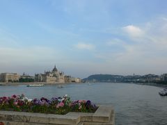 ハンガリー徒然長期出張記録 ④ハンガリーでワールドカップ観戦