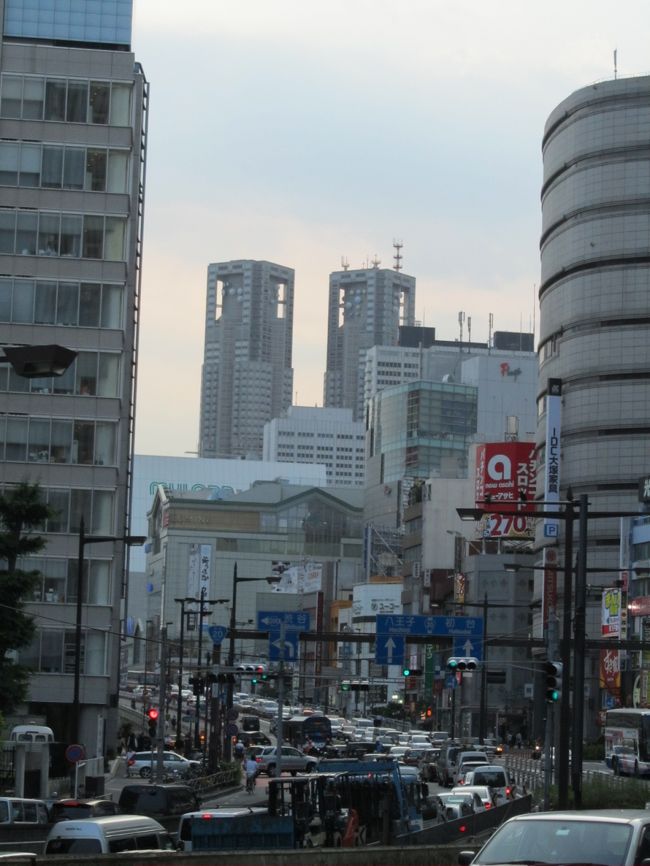 6月10日、午後5時20分過に新宿御苑付近にある需要家訪問を終えた後、新宿通り沿いに新宿三丁目付近までぶらりと歩いた。そこから、国道20号線に沿って新宿駅南口迄歩いた。<br />約1.5キロの距離であるが新宿の高層ビルが遠くから見られるので写真撮影しながらの散策は楽しかった。<br /><br /><br /><br /><br />＊写真は新宿三丁目付近から見られる東京都庁舎