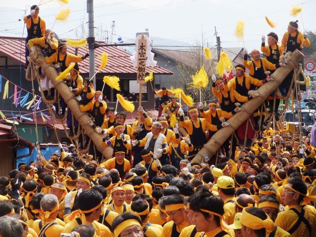 　諏訪大社の御柱祭は、７年に一度、諏訪の地で行われる勇壮なお祭りです。今年はその年にあたります。<br />　御柱祭は、４月に行われる「木落し・川越し」と言われる「山出し」と、５月に行われる「建御柱」の「里曳き」からなっています。　<br />　ＧＷに諏訪を訪れた私達は、諏訪大社上社本宮の里曳きを見てきました。<br />　諏訪大社は、上社と下社があり、上社には本宮と前宮、下社には春宮と秋宮がありますから、それぞれのお宮で4本ずつの御柱があり、合計16本の御柱が曳かれるというわけです。<br />　５月３日、このうちの上社本宮の4本の御柱の里曳きを見ました。長持や毛槍、奴の行列、花笠踊りなどが繰り広げられる中、多くの人に曳かれた御柱が、ゆっくり、ゆっくりと動いていきました。それは、まるで人の波がうねりながら流れて行くようでした。