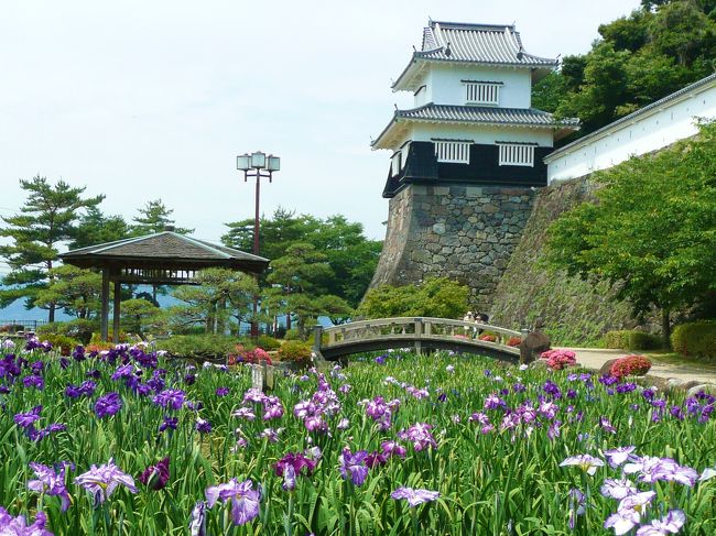 　すでに夏日の長崎、３年振りに大村市にある　西日本随一の花菖蒲園に　<br />今日も変わり映えのしない。。お局様を助手席に　ドライブして来ました<br /><br />玖島城の長掘・南郷跡には１０万株　約３０万本の花しょうぶが咲き誇っています<br /><br />　見頃は　５月下旬〜６月中旬　　入園・駐車場とも無料<br /><br /><br /><br />　　　　　　　　　　　　　　　　　　